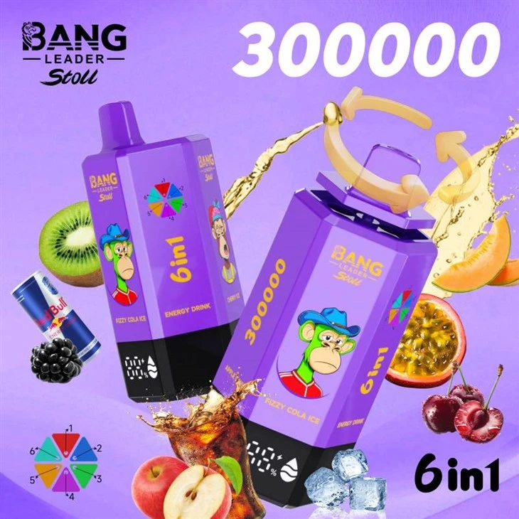 Bang Leader 300000 Puffs