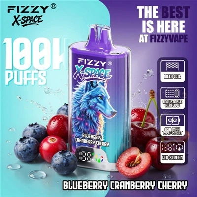 Fizzy 100K X Space: Nu este nimic remarcabil ca un dispozitiv să reziste mult...