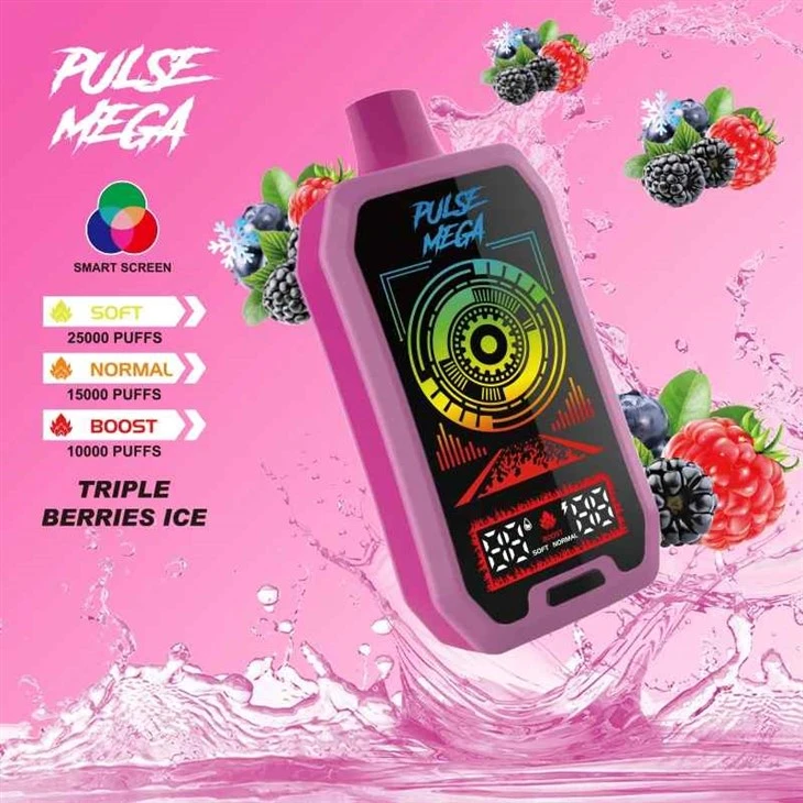 R&M PULSE MEGA 25000 pufături