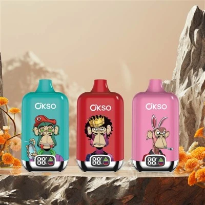 OKSO Digital Box 12000