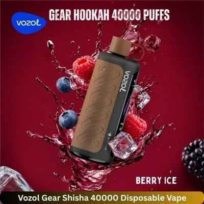 VOZOL Gear Hookah 40000 Puffs