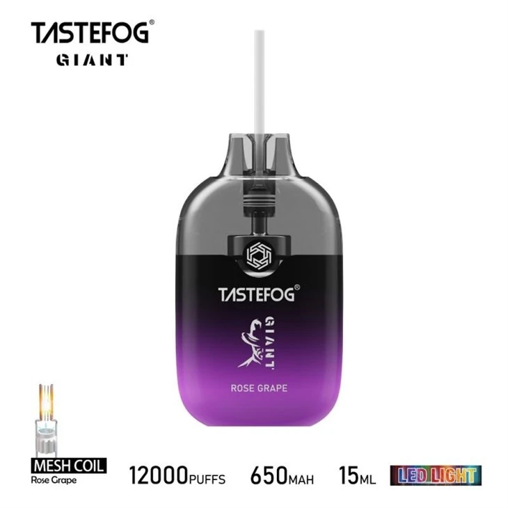 TASTEFOG GIANT 12000 9 TASTEFOG GIANT 12000 9